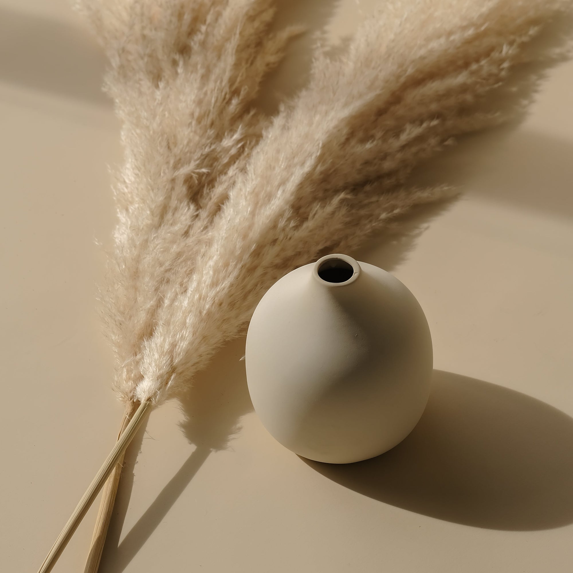 Camilia Supply Pampas Vase