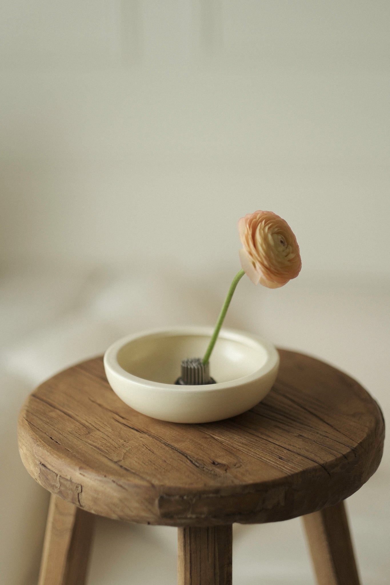 The Essential Ceramic Containers (Pack of 2)