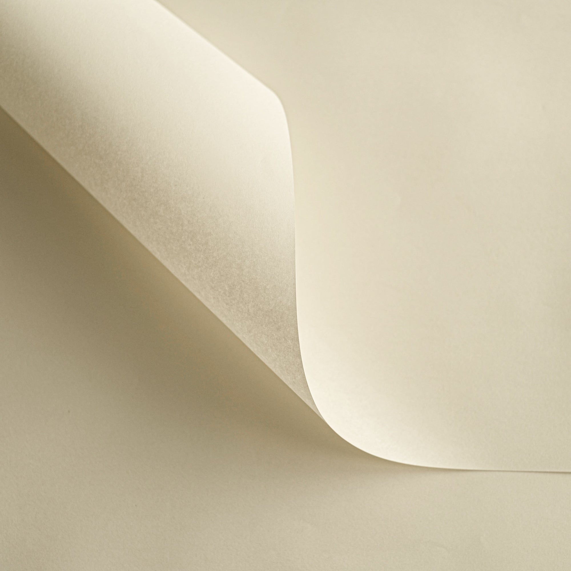 20 pcs Camilia Standard Kraft Wrapping Paper (Large Size)