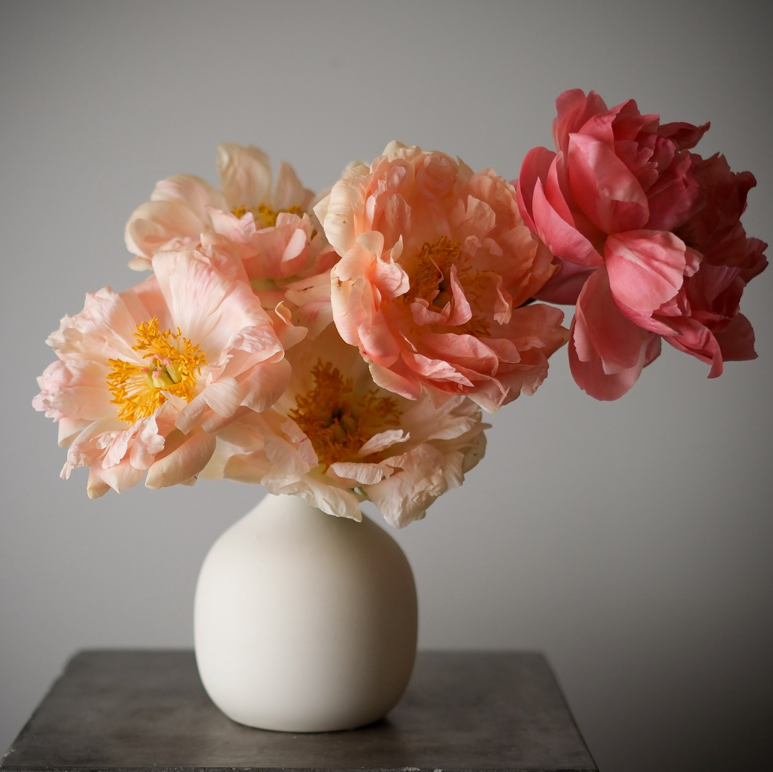 Bohemian Statement Vase | Small Round