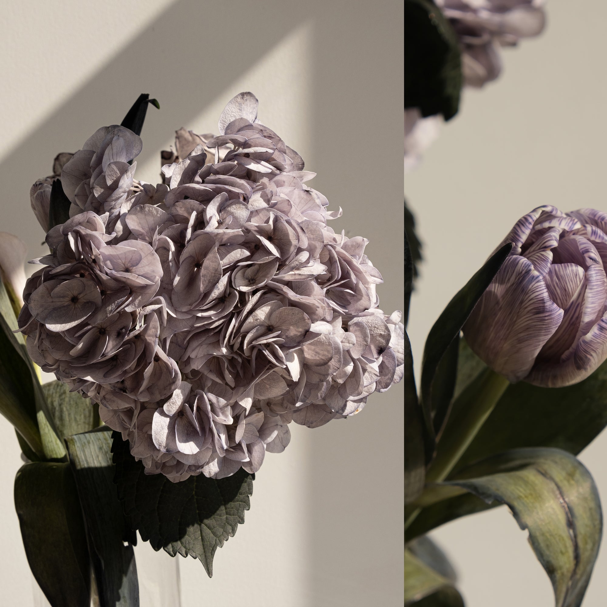 Camilia Supply Flower Liquid Color Dye