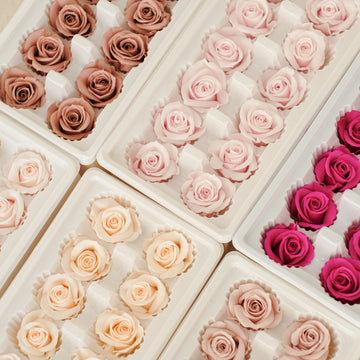 Camilia Preserved Rose 12pcs