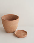 Terracotta Planter