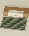 Luna by Camilia 12 inch Taper Candles 10 Pieces/Pack