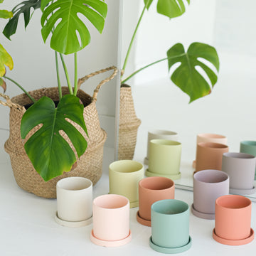 Camilia Supply Ceramic Planter