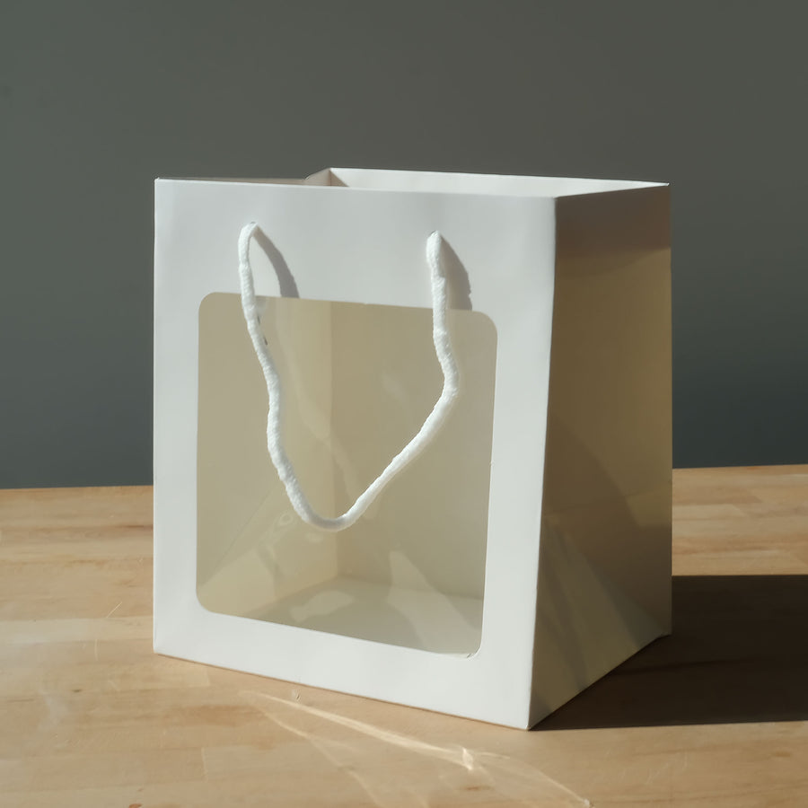PVC Window White Shopping Bags (Pack of 10)